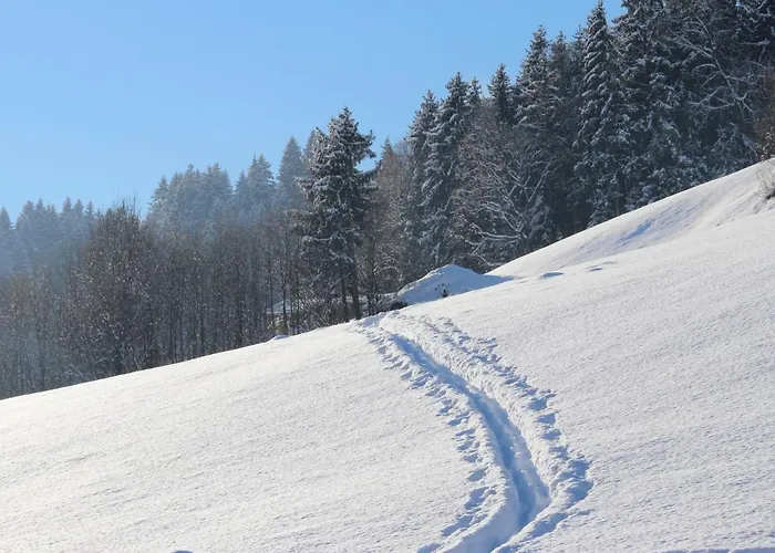 Herbert-2 Appartement